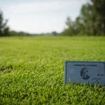 The Platinum Card from American Express: Benefits & Application